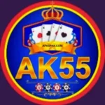 AK55 Game APK Free