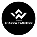 Shadow Team Injector