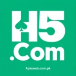 H5 Game APK